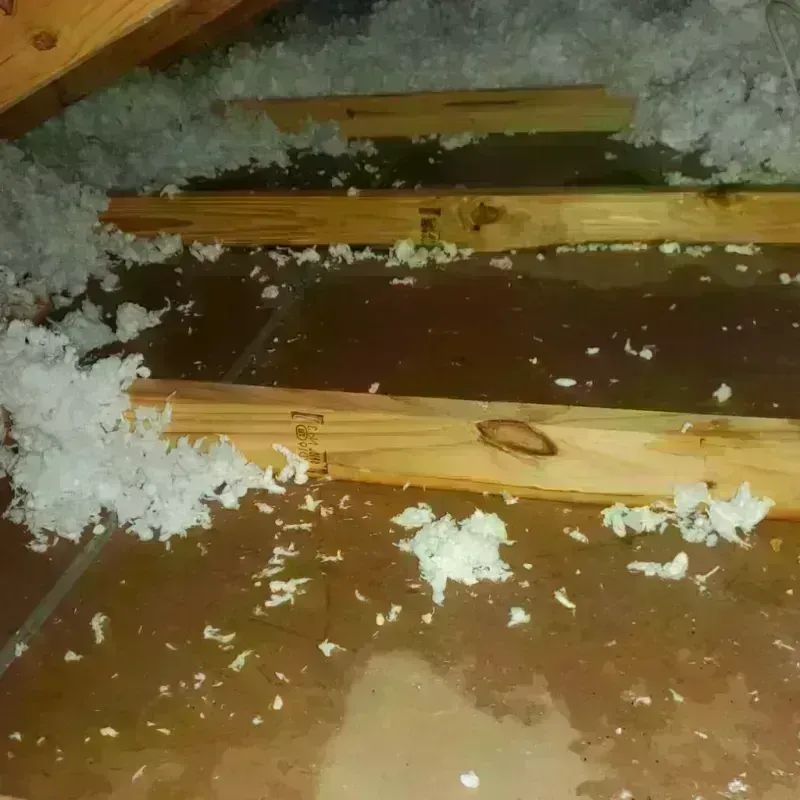 Attic Water Damage in Elwood, UT