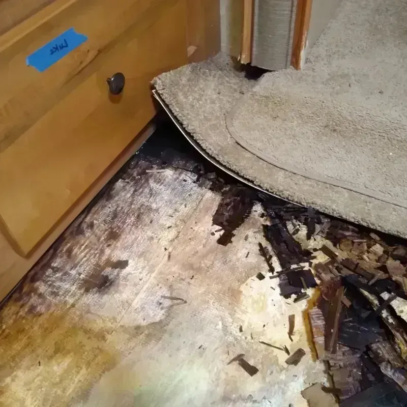 Wood Floor Water Damage in Elwood, UT